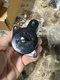 Ford Ranger Headlight Switch 1998-2006 Black NEW