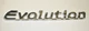 OEM Mitsubishi Emblem Badge Nameplate " EVOLUTION "  NEW 03 04 05 06  MN154916