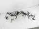 Toyota C-Hr 2018 Instrument Dash Board Harness Wiring Wires Cabin 82141-F4d30