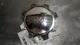 SIERRA250 2011 Center Cap Wheel 7555313