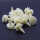 30 Pcs Interior Door Moulding Clips Retainer For Chevrolet Oldsmobile 3065575
