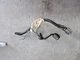 AC Compressor Wire Harness 4.3 V6 Chevy ZR2 S10 Pick Up 99 00 01 02 03 04