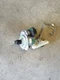 TESLA 3   2018 Power Brake Booster 1044671-00-D OEM