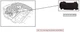 DRIVER KNEE AIR BAG OEM 20-25 BUICK ENCOREGX