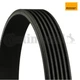 V-ribbed belt Continental CTAM 6PK2575 for Jeep Compass