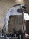 ENGINE COVER OEM 2018 NISSAN PATHFINDR 140416KA0B