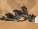 2002 FORD EXPLORER SPORTTRAC 4.0L DRIVER LEFT EXHAUST MANIFOLD OEM  1L2Z 9431 CB