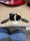 1995-2005 CHEVY CAVALIER PONTIAC SUNFIRE INTERMITTENT WIPER SWITCH & Headlight