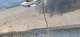 2019 Toyota Corolla LH Left Driver Front Door OEM