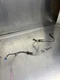 03 04 05 06 07 08 09 Nissan Z 350 350Z OEM Left Front ABS Wheel Speed Hub Sensor