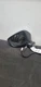 Driver Side View Mirror Heated With Automatic Dimming Fits 17-21 MAZDA 6 1191972