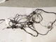 BODY WIRE HARNESS fits TOYOTA COROLLA 2003