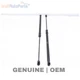 2023-2025 VW ID.4 PRO - Trunk Hatch Strut / Shock SET 11K827550A