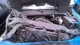 Used Infotainment Display fits: 2014 Chevrolet Tahoe entertainment system opt U4