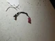 3 Pin 2 Wire Wiring Connector Loom Plug Pigtail 3 Wire 8377070 fit many BMW 320i