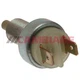 Brake Light Switch For BMW Ford Mercedes-Benz Volvo Cambiare VE724052 2 Pins