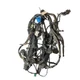 08 OEM 2008 Ford F250 F350 Super Duty XL Crew Cab Wiring Harness 8C3T-14A005-AAH