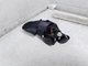 2023 ACURA MDX Driver Left Side 3rd Row Rear Black Seat Belt OEM 