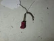 Wiring Loom Plug Connector Pigtail 8377070 04&ndash;18 BMW F15 E53 X5 E46 E60