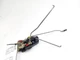 2002 - 2003 DODGE 1500 FRONT RIGHT DOOR LOCK ACTUATOR