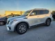 (LOCAL PICKUP ONLY) Passenger Front Door Electric Fits 14-24 INFINITI QX80 62675