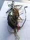 BUICK-ELE 1980 Power  Antenna 311076