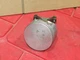 2006-2010 Chrysler 300 2.7L OEM piston w/ rod #2 06 07 08 09 10
