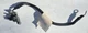 03-13 Maserati Quattroporte M139 Negative Battery Terminal Cable Wire OEM 214194