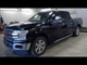 Driver Sun Visor Crew Cab With Sunroof Fits 18-20 FORD F150 PICKUP 1042995