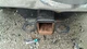 Seat Belt Front Classic Style 5 Lug Wheel Fits 13-20 DODGE 1500 PICKUP 5424355