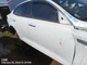 RIGHT WHT FRONT DOOR ASSEMBLY OEM 16-20 KIA OPTIMAKIA