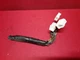 2002 - 2004 Nissan Altima Radio Stereo CD Unit w/ BOSE 28185-8J200  PIGTAILS