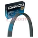 Dayco Main Drive Serpentine Belt for 1996 GMC Savana 2500 4.3L V6 Accessory da