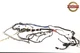 2020-2024 TESLA MODEL Y RIGHT SIDE MAIN BODY WIRE WIRING HARNESS OEM 348904200D