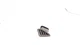Genuine GM Medium Cashmere Driver Side Window Defogger Outlet Grille 22980142