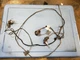 2001 02 03 04 05 06 07 2008 JAGUAR X-TYPE FRONT BUMPER WIRE HARNESS 1X4314369FBB