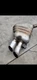 Audi S5 2008 Stock Mufflers