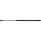 Liftgate Lift Support Strong Arm C4590 fits 05-10 Toyota Sienna