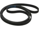 For 2020-2024 Ford F450 Super Duty Multi Rib Belt Motorcraft 11712RFDX 2021 2022