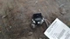 2019 Buick Encore Driver Left Front Door Switch 2435148