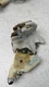 00 01 02 03 NISSAN MAXIMA Front Door Latch Actuator Front Rear Right Left 4pcs