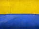 08 09 10 BENTLEY Continental GT Front RIght Door Sill Scuff Plate OEM 3W0863612C