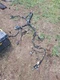 2012 Ford F-250 F-350 6.7L Diesel XLT Dash Wire Harness Automatic 4x4 bc3t-14401