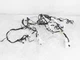 2018-2019 Toyota C-Hr Limited Dashboard Instrument Wiring Harness 82141-10B50