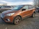 LEFT BWN FRONT DOOR ASSEMBLY OEM 15-19 FORD ESCAPE