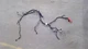 2019-2023 DODGE RAM 1500 ALTERNATOR AND STARTER CABLE 68430575AC