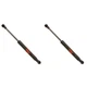 SET-TRWTSG403067-2 TRW Set of 2 Trunk Lid Lift Supports  Driver & Passenger Pair