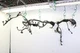 2017 Honda Civic SI Sedan Engine Wiring Harness Assembly 32110-5AM-A001 17