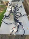 2013 KIA Optima 2.4L Automatic Dash Dashboard Wire Wiring Harness OEM