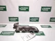 13 14 15 16 17 18 19 Land Rover RANGE ROVER Exhaust Manifold Drivers